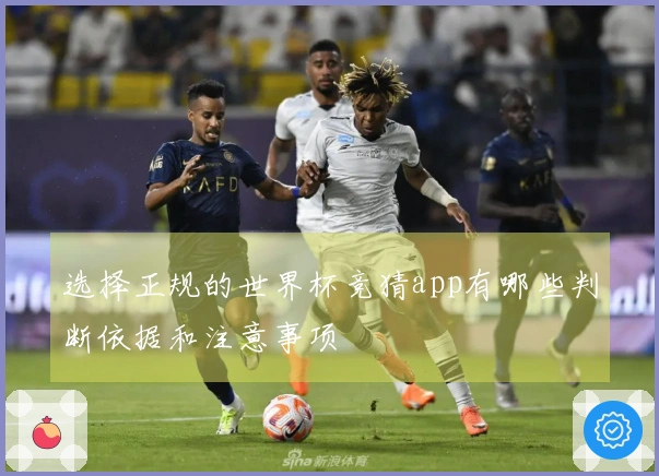 选择正规的世界杯竞猜app有哪些判断依据和注意事项